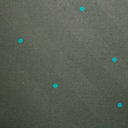 Batiste gris graphite ? pois canard
