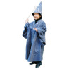 Merlin l'enchanteur